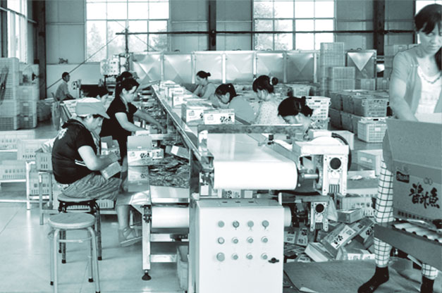 大成食品包裝生產(chǎn)線